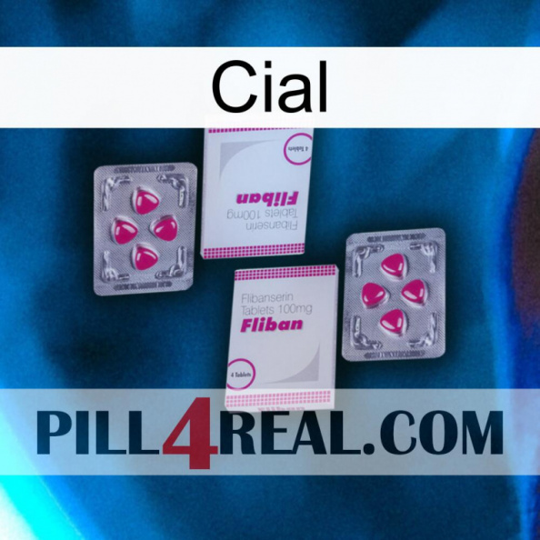 Cial 33